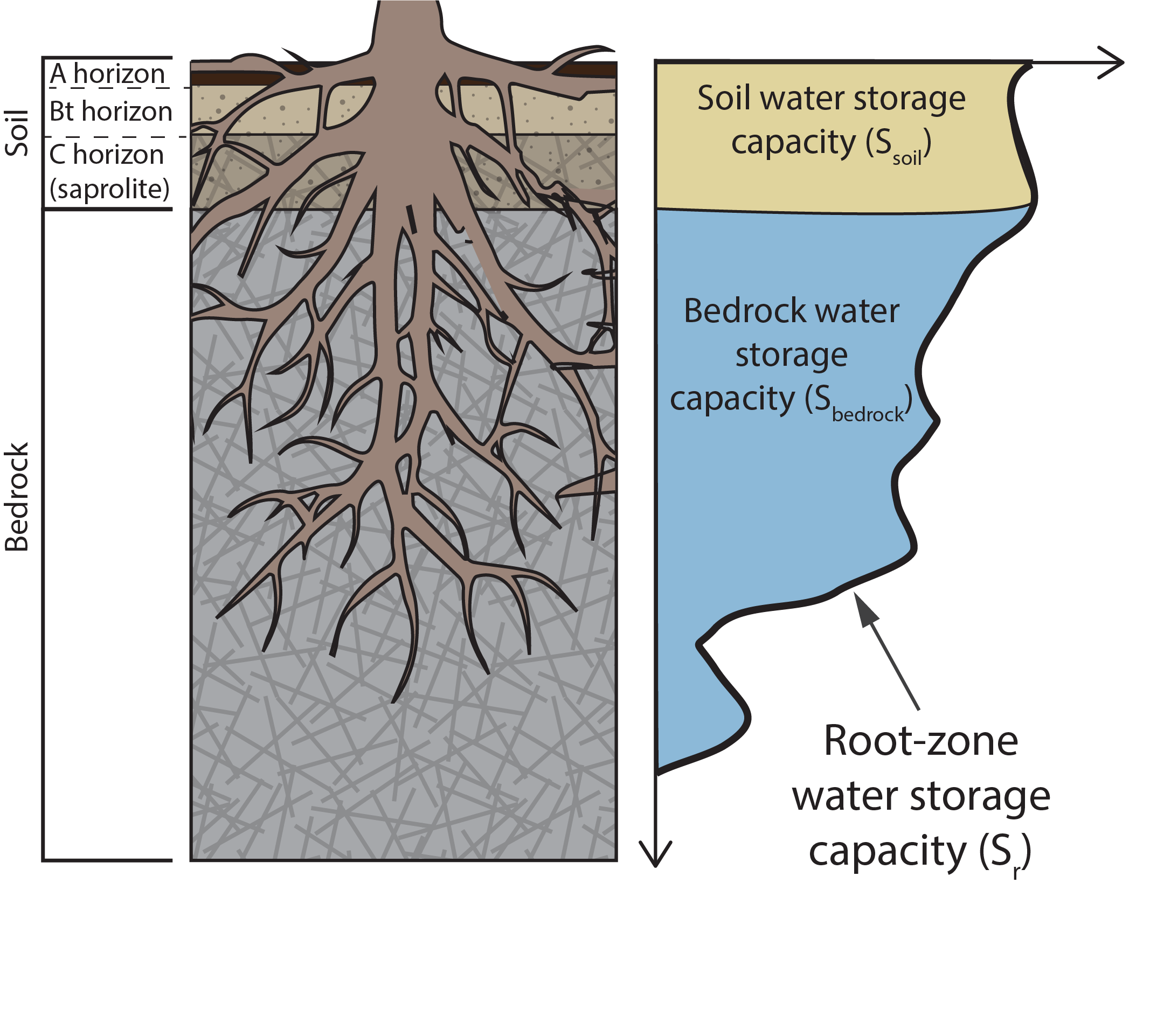 Schematic of an idealized rooting profile, where the root-zone is broken up into soil and bedrock components